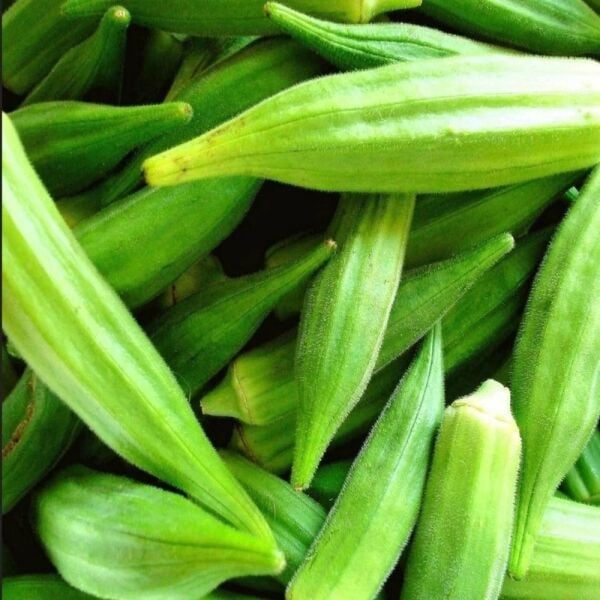 Sultan Bamya Tohumu – Yüksek Verimli ve Dayanıklı Bamya Çeşidi | Bahçe ve Tarla Kullanımı