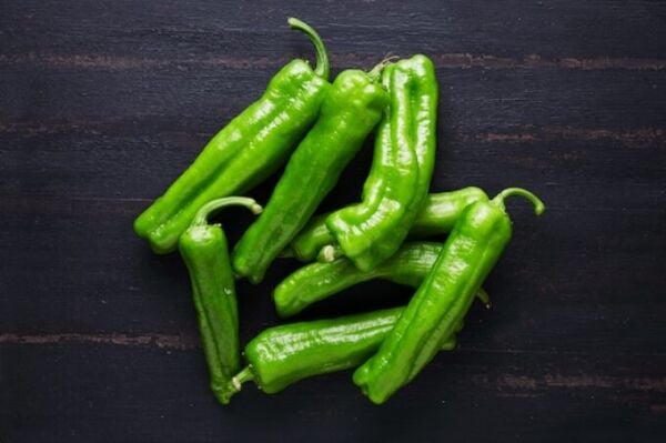 Mazamort Biberi Tohumu – Aromatik, İnce Yapılı ve Verimli Biber Çeşidi