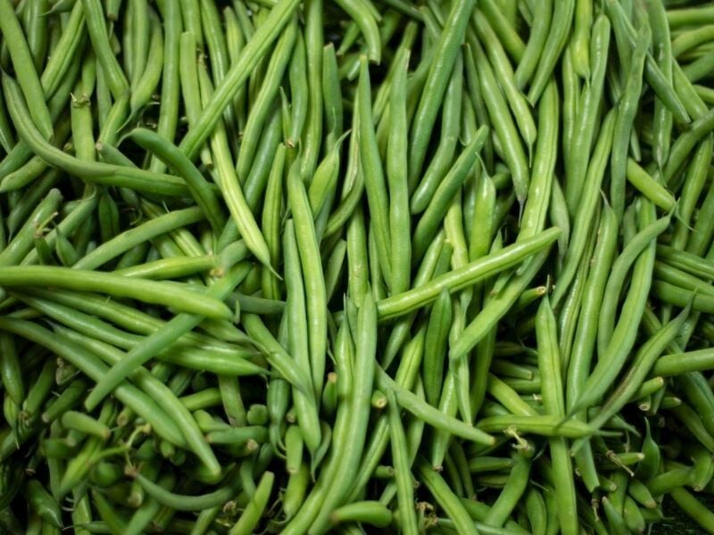 Börülce Tohumu – Sağlıklı, Dayanıklı ve Yüksek Verimli Bakliyat