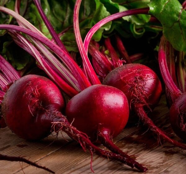 Kırmızı Pancar Tohumu | Yüksek Verimli – Taze ve Doğal