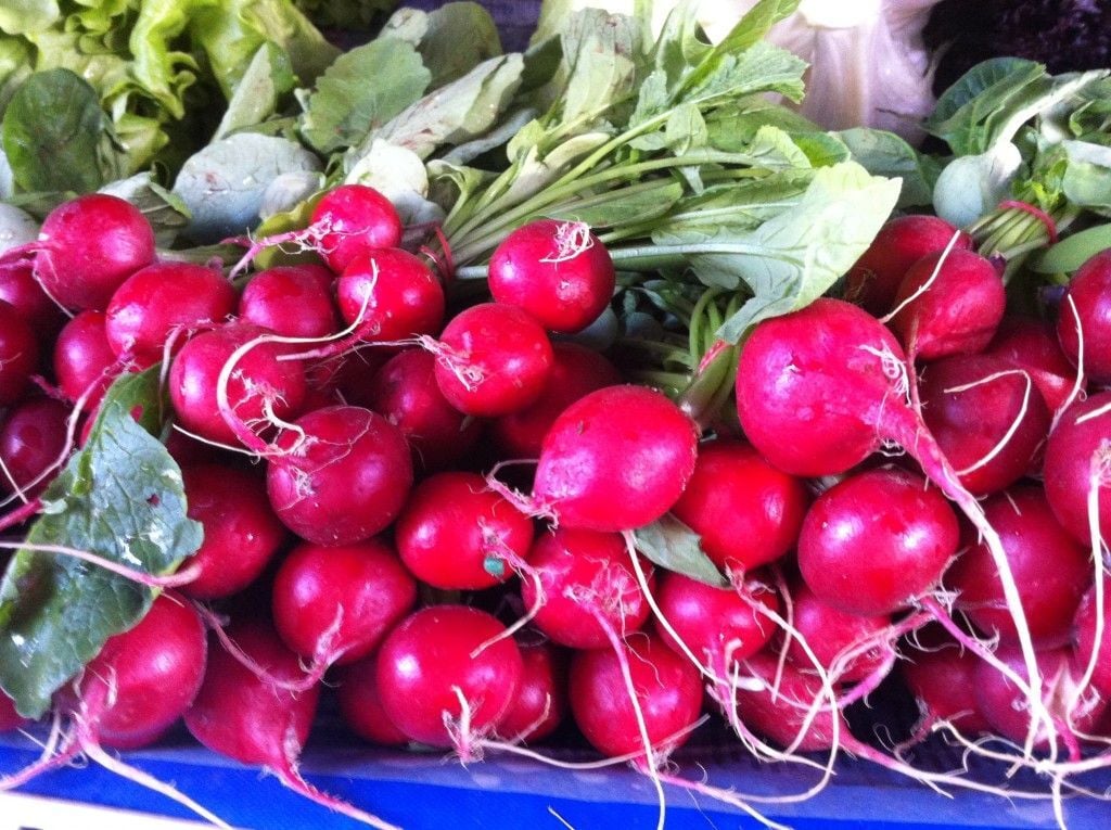 Fındık Turp Tohumu | Mini Boy – Hızlı Çimlenen Tür