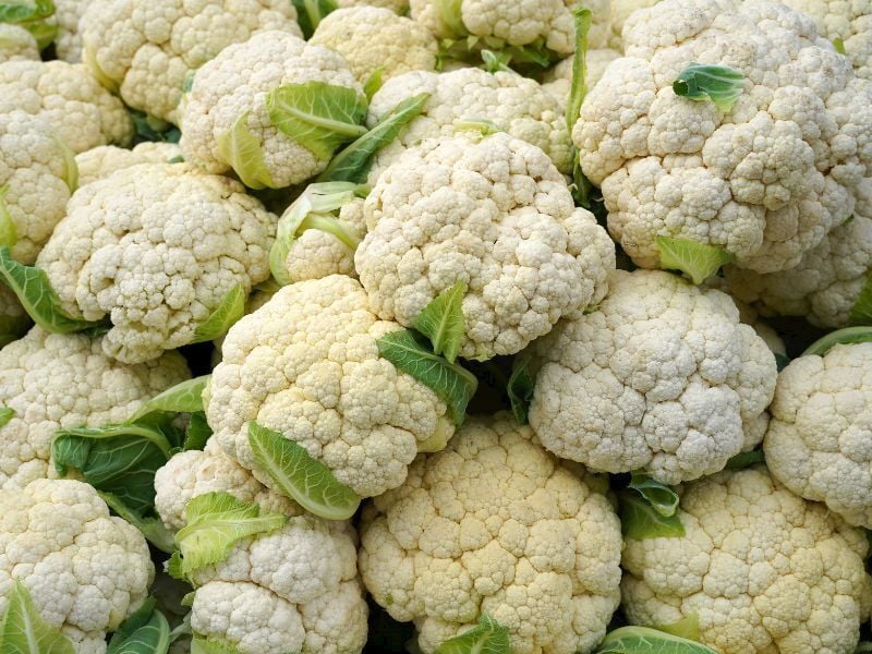 Karnabahar Tohumu | Sık Başlı – Verimli ve Dayanıklı Çeşit