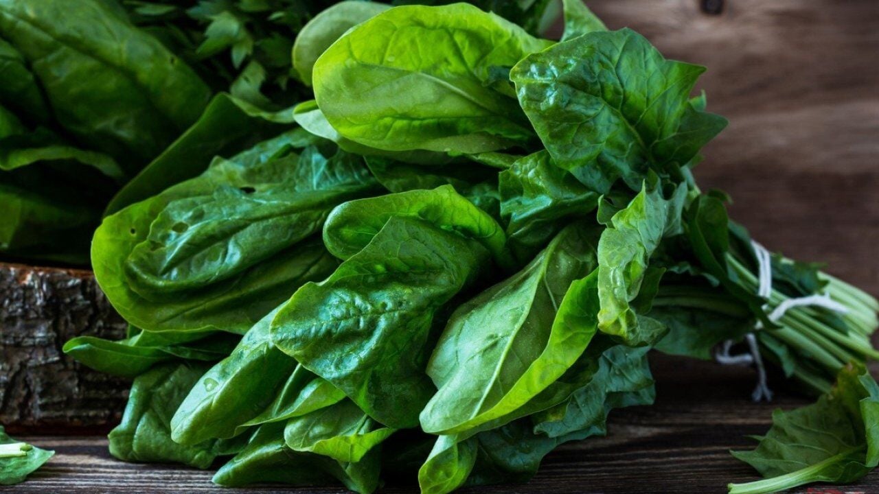 Ispanak Tohumu | Geniş Yapraklı – Hızlı ve Dayanıklı Çeşit