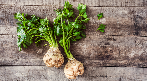 Kök Kereviz Tohumu | Aromatik – Etli ve Yüksek Verimli