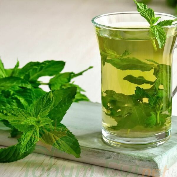 Geleneksel Nane Tohumu | Greenmint Viridis – Aromatik