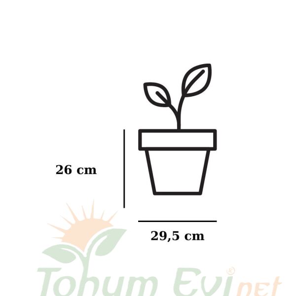 Poliwork Fulya 30 Kiremit Kahve Saksı - 10 L