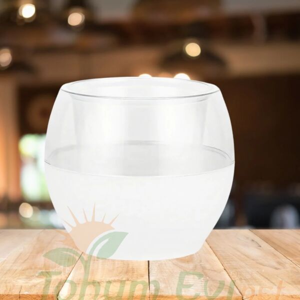 Poliwork Buule Orkide Saksı Drenajlı 2 L