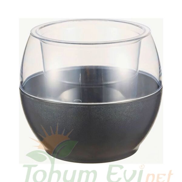 Poliwork Buule Orkide Saksı Drenajlı 2 L