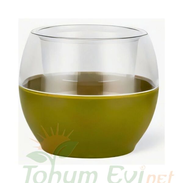 Poliwork Buule Orkide Saksı Drenajlı 2 L