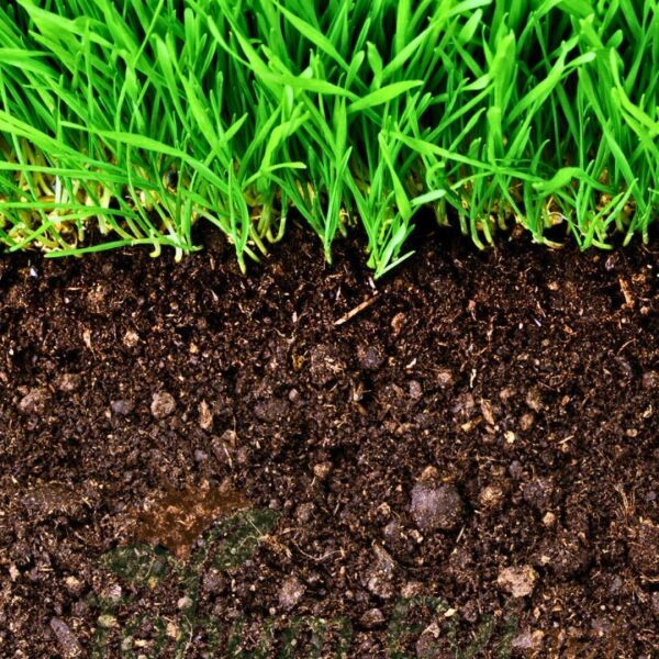 Nif özel çim kapak toprağı 20 kg - Eşsiz karışımlı çimlendirme harcı - Köklendirici etkili - Kullanıma hazır - Dengeli pH