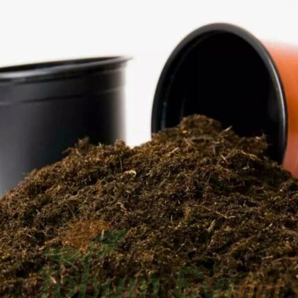 Green Word Pro Mix Çok Amaçlı Bitki Toprağı - 5 lt