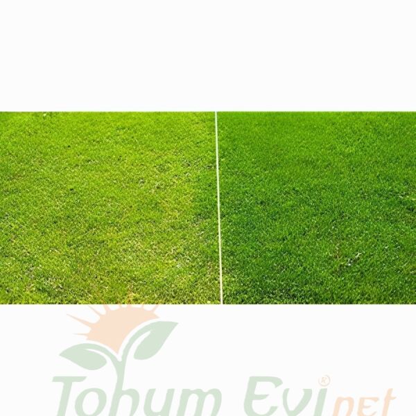 Genta prestige Çim Gübresi İlk Tesis - 10 kg