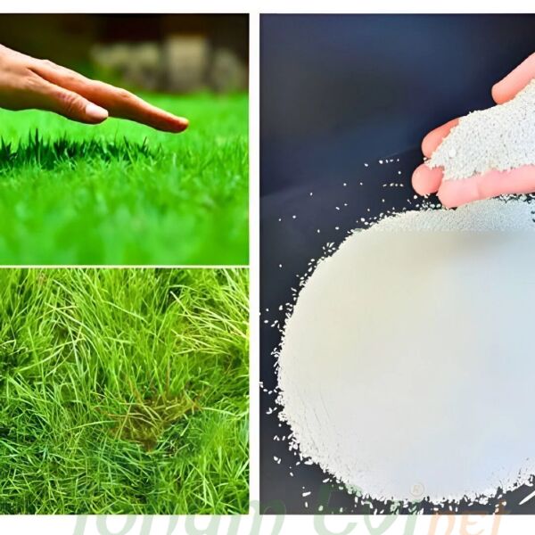 Genta prestige Çim Gübresi İlk Tesis - 10 kg