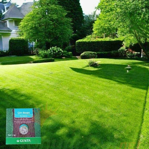 Genta Çim Besini Kış Bakımı - 1 kg