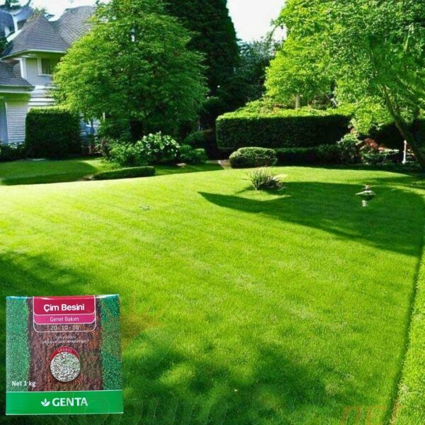 Genta Çim Besini Genel Bakım - 1 kg