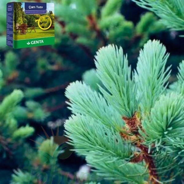 Genta Çam Tuzu - Magnezyum İçerikli - 1 kg