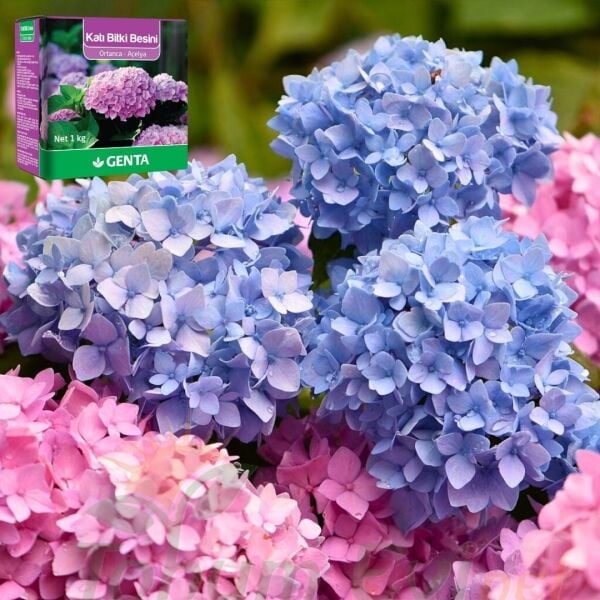 Genta Katı Bitki Besini Ortanca Açelya - 1 kg