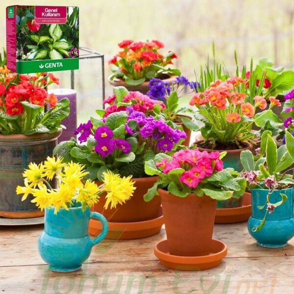 Genta Katı Bitki Besini Genel Kullanım - 1 kg