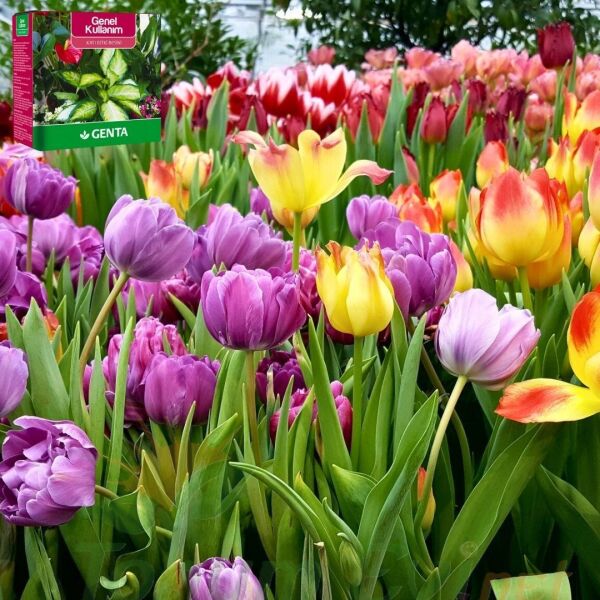 Genta Katı Bitki Besini Genel Kullanım - 1 kg