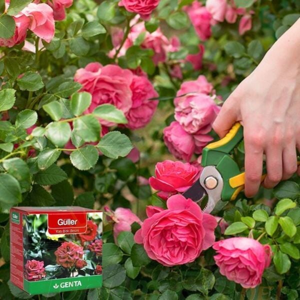 ﻿Genta Katı Bitki Besini Güller - 1 kg