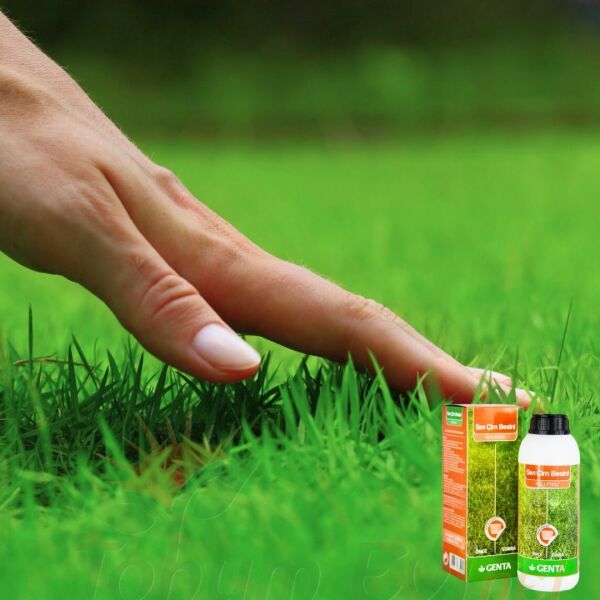 Genta Sıvı Çim Besini - 1 lt