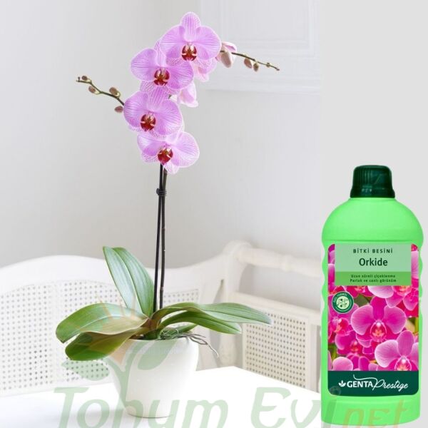 Genta Prestige Orkide Sıvı Bitki Besini - 500 ml