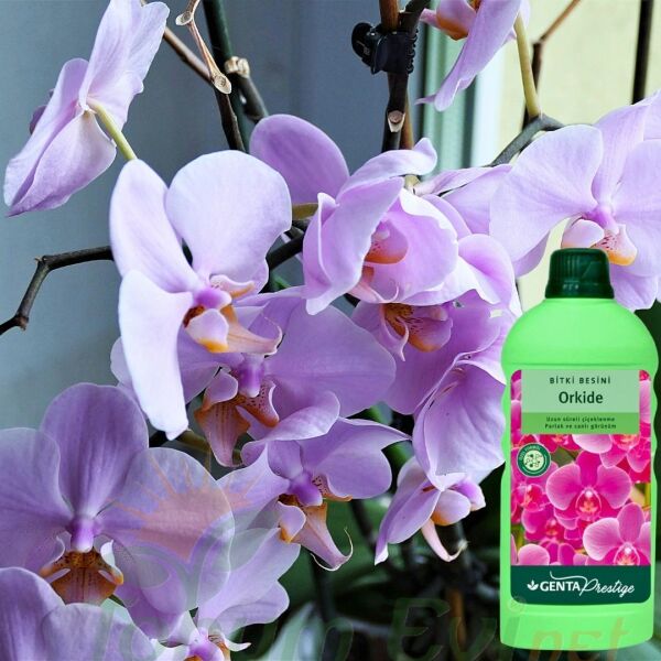 Genta Prestige Orkide Sıvı Bitki Besini - 500 ml