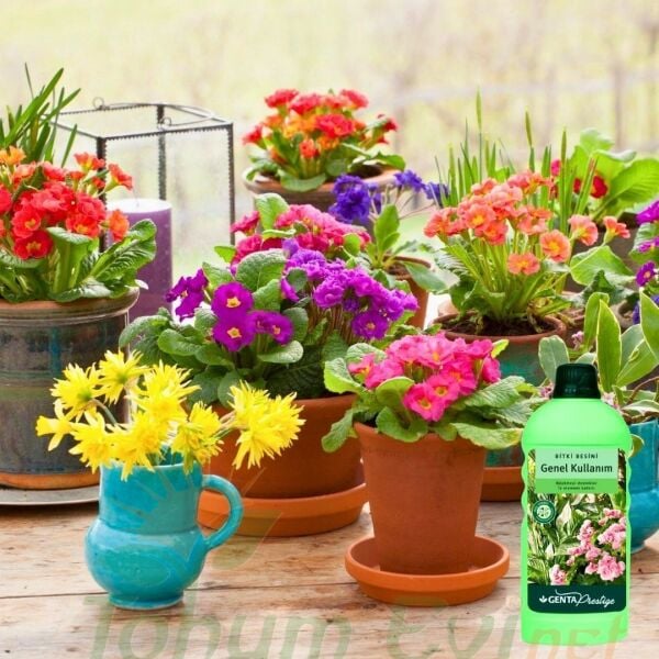 Genta Prestige Genel Kullanım Sıvı Bitki Besini - 500 ml