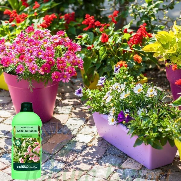 Genta Prestige Genel Kullanım Sıvı Bitki Besini - 500 ml