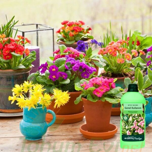 Genta Prestige Genel Kullanım Sıvı Bitki Besini - 1 lt