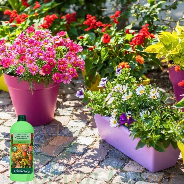 Genta Prestige Çiçekli Bitkiler ve Sardunyalar Sıvı Bitki Besini - 1 lt