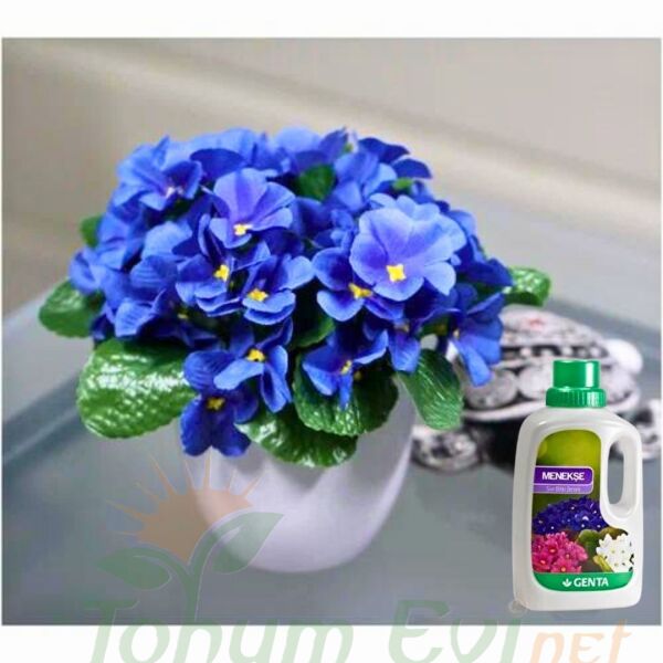 Genta Menekşe Sıvı Bitki Besini - 500 ml