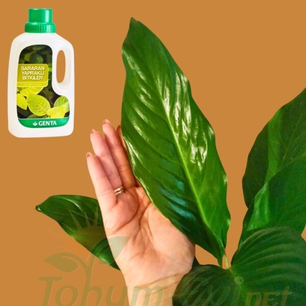 Genta Sararan Yapraklı Bitkiler Sıvı Bitki Besini - 500 ml