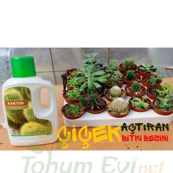 Genta Kaktüs Sıvı Bitki Besini - 500 ml
