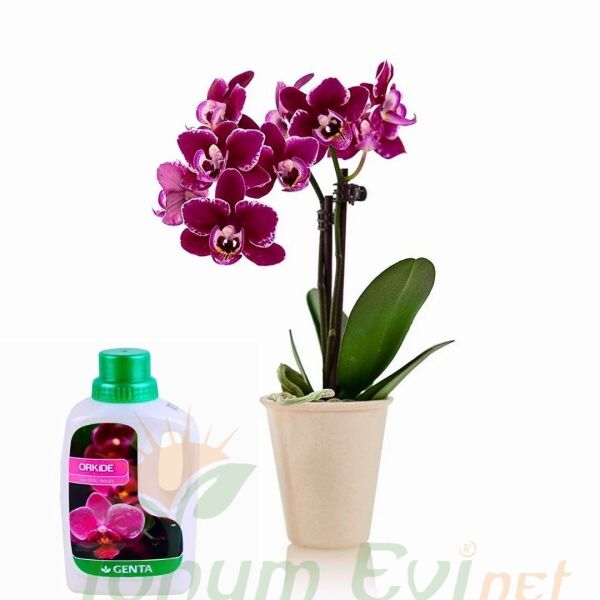 Genta Orkide Sıvı Bitki Besini - 500 ml