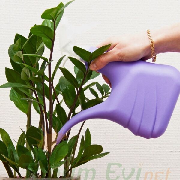 Genta Yeşil Yapraklı Bitkiler Sıvı Bitki Besini - 500 ml