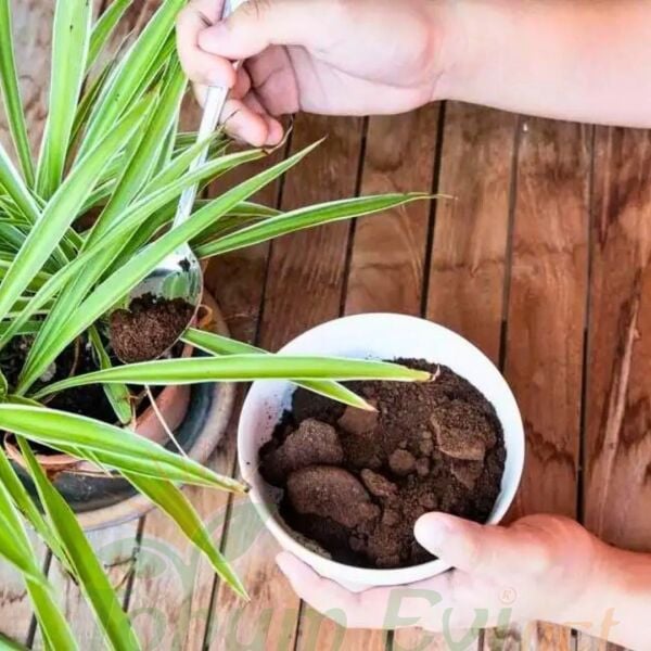 ﻿Genta Doğal Bitki Besini - Solucan Gübresi Katkılı