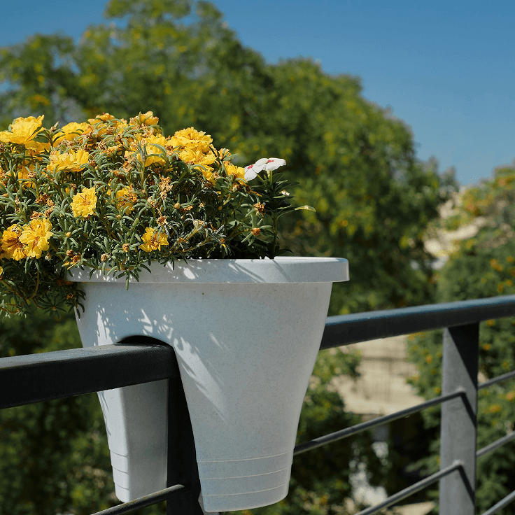 Hızlı Teslimat, Güvenilir Paketleme